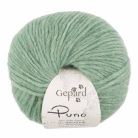 Gepard Puno - 822
